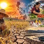 El Niño’s Impact on Philippine Agriculture